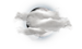 Intermittent clouds